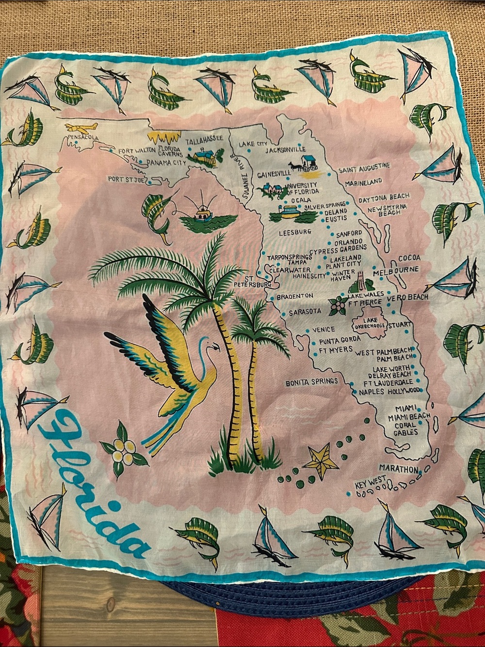 Vintage Florida Map  Scarf in Pink and Teal 16 x 14”